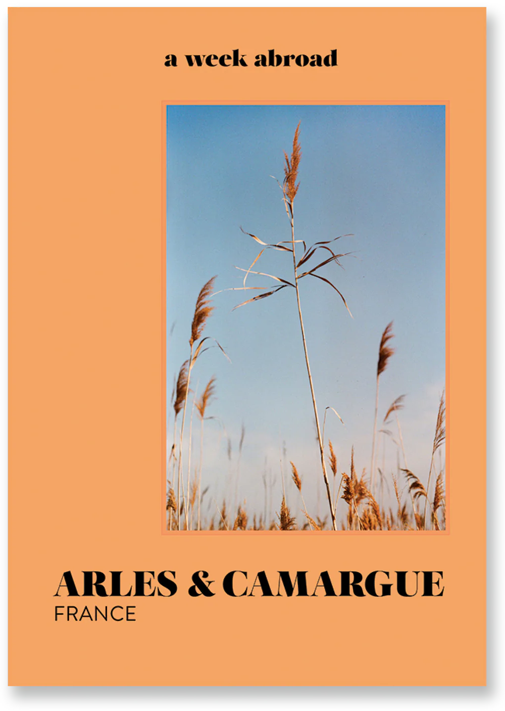 A Week Abroad - Arles-Camargue