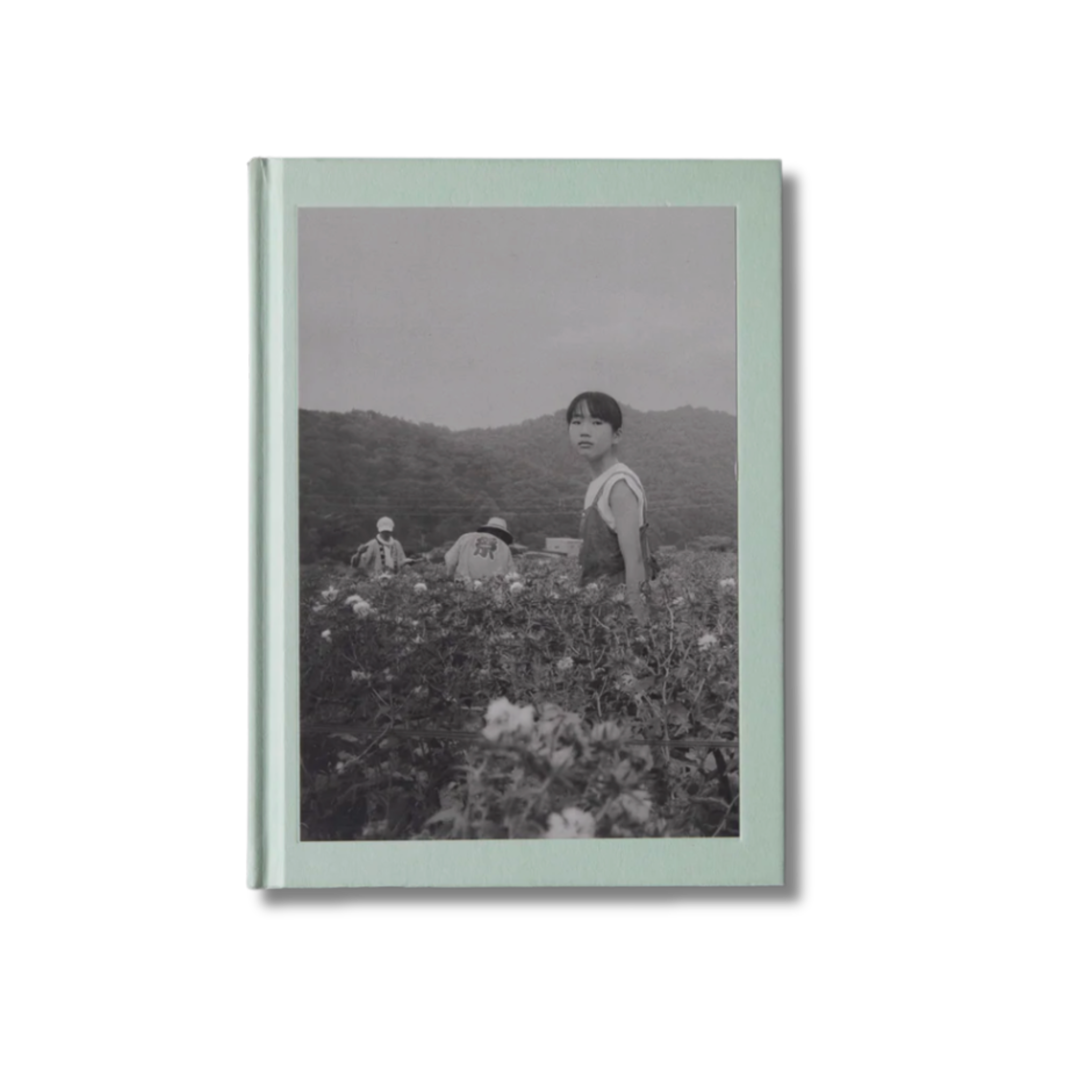 Flower(s) vol.1 - T. Freitas
