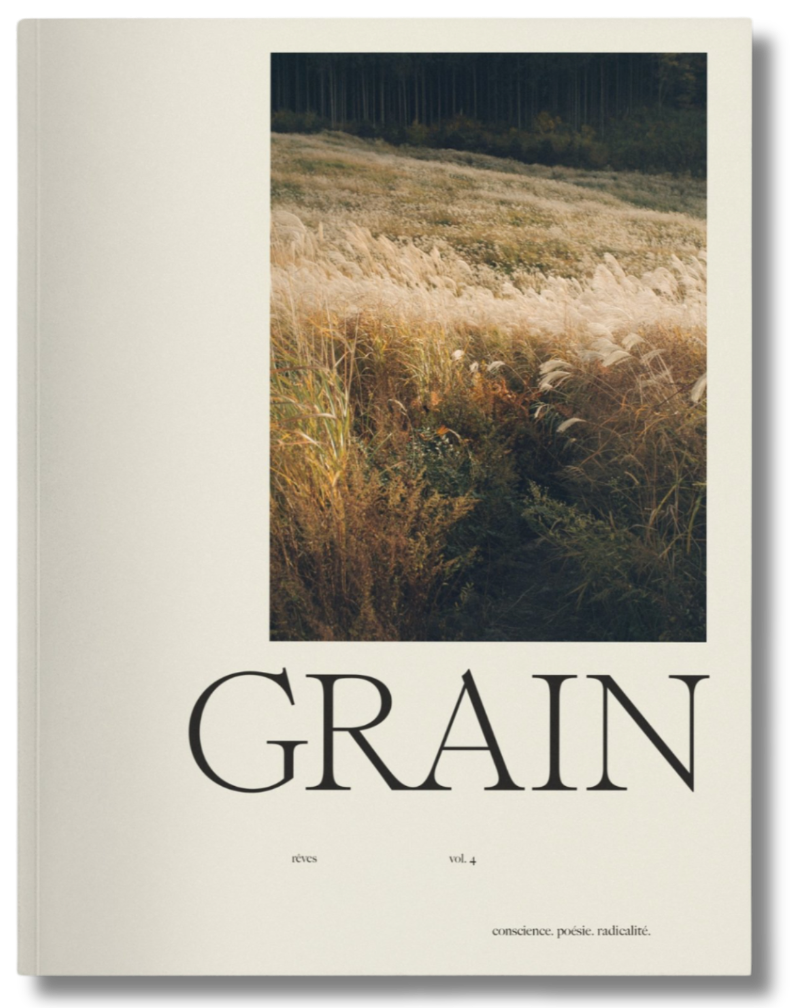 Grain #4 Dreams