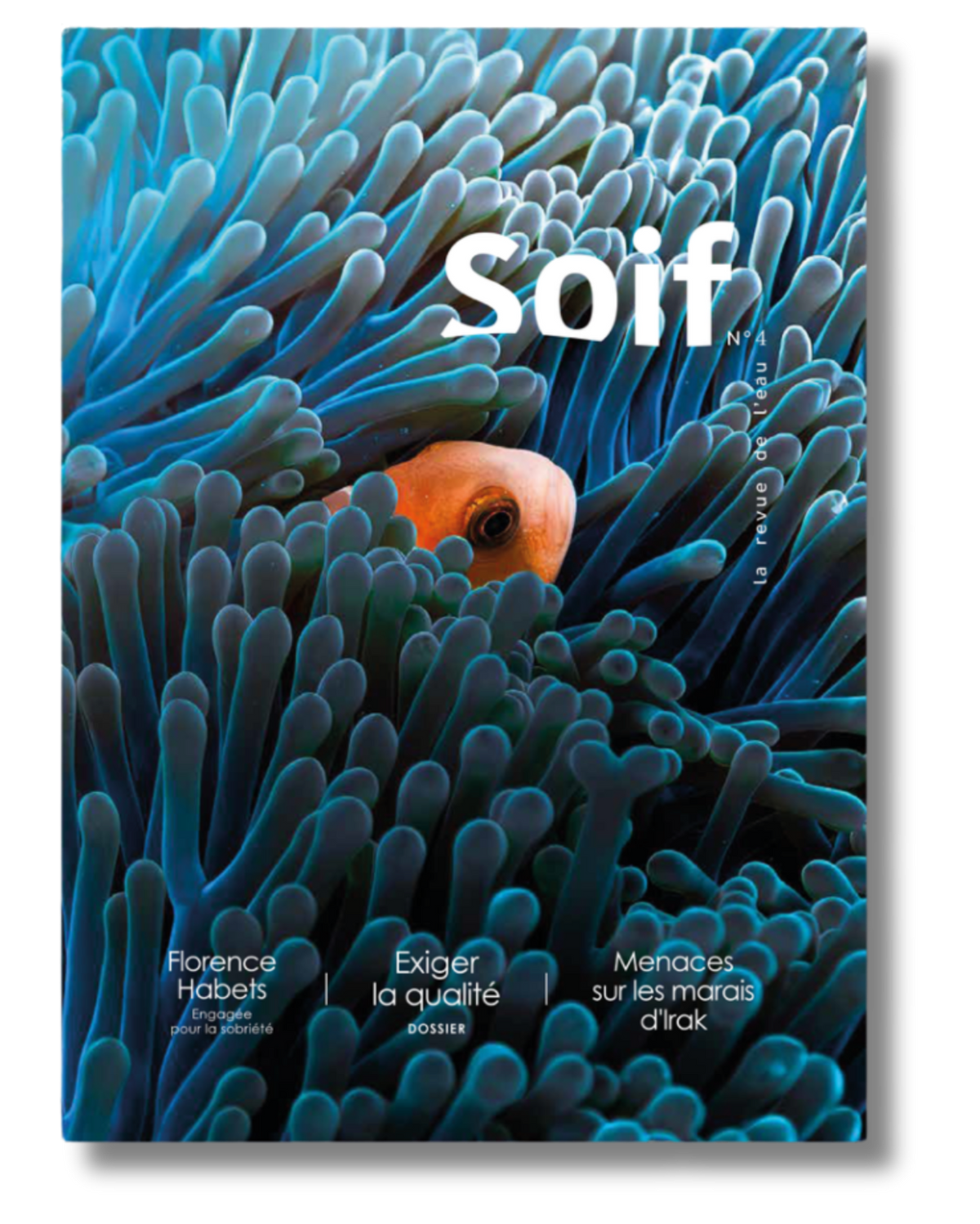 SOIF #4 magazine cover