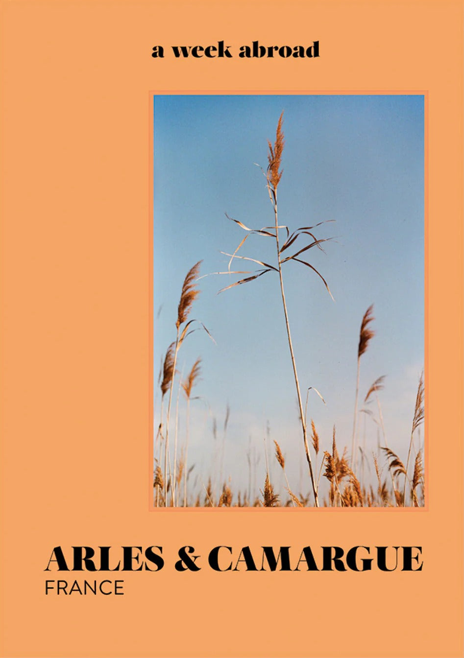A Week Abroad - Arles-Camargue