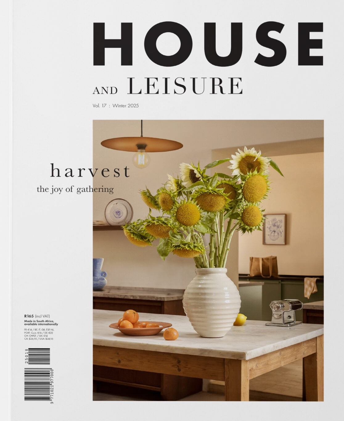 House And Leisure #17 magazine cover