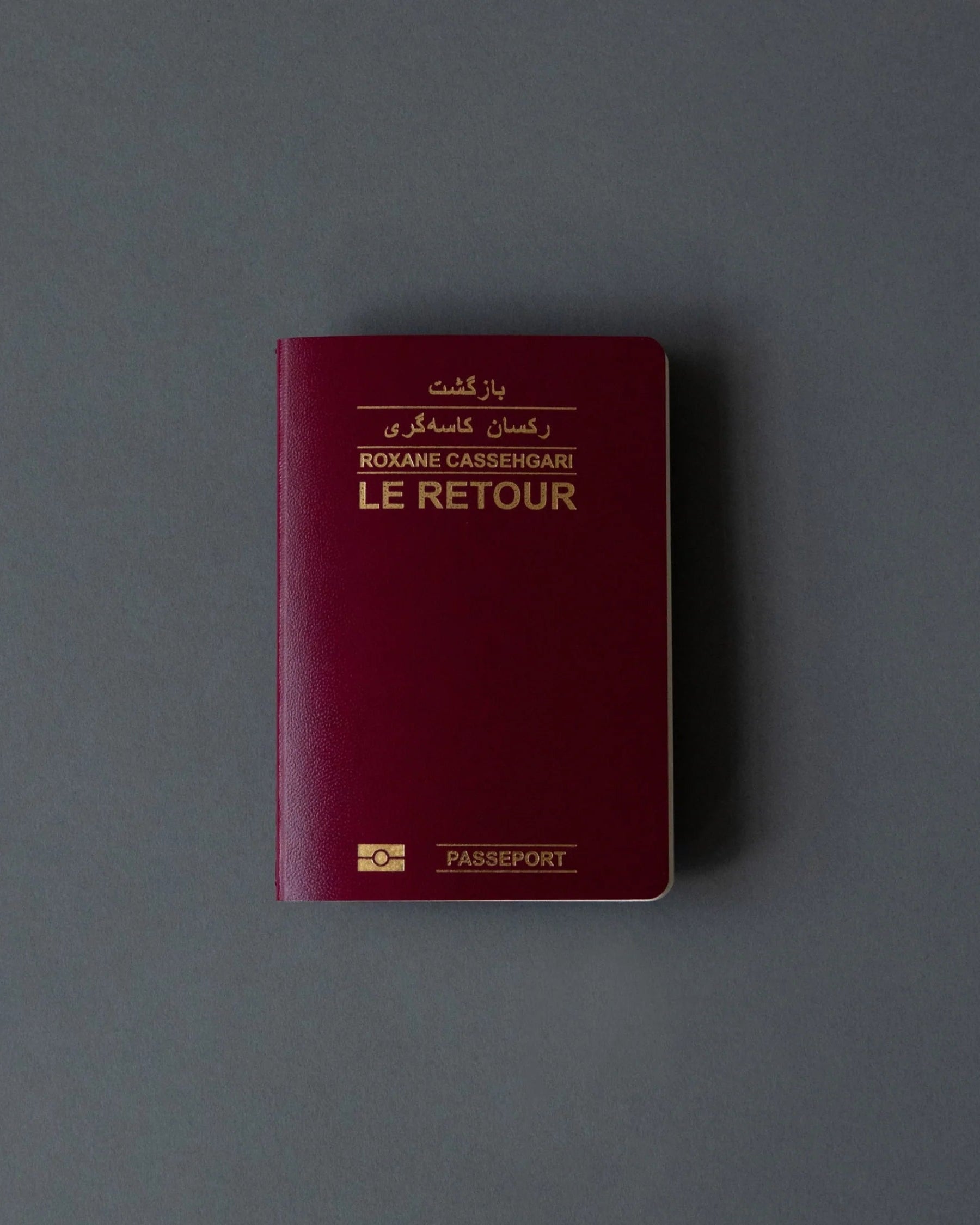 Le Retour - ROXANE CASSEHGARI