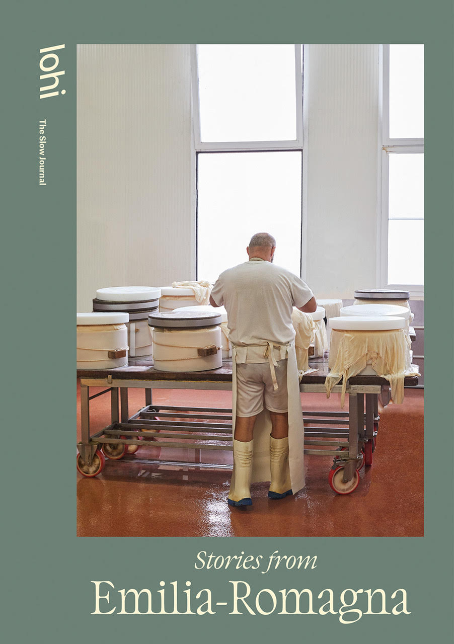 Lohi Journal #6