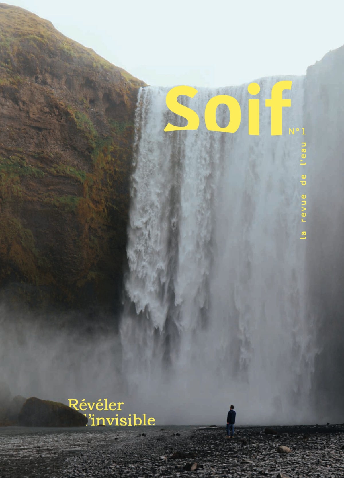 SOIF #1 book cover
